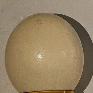 Ceramic Ostrich Egg